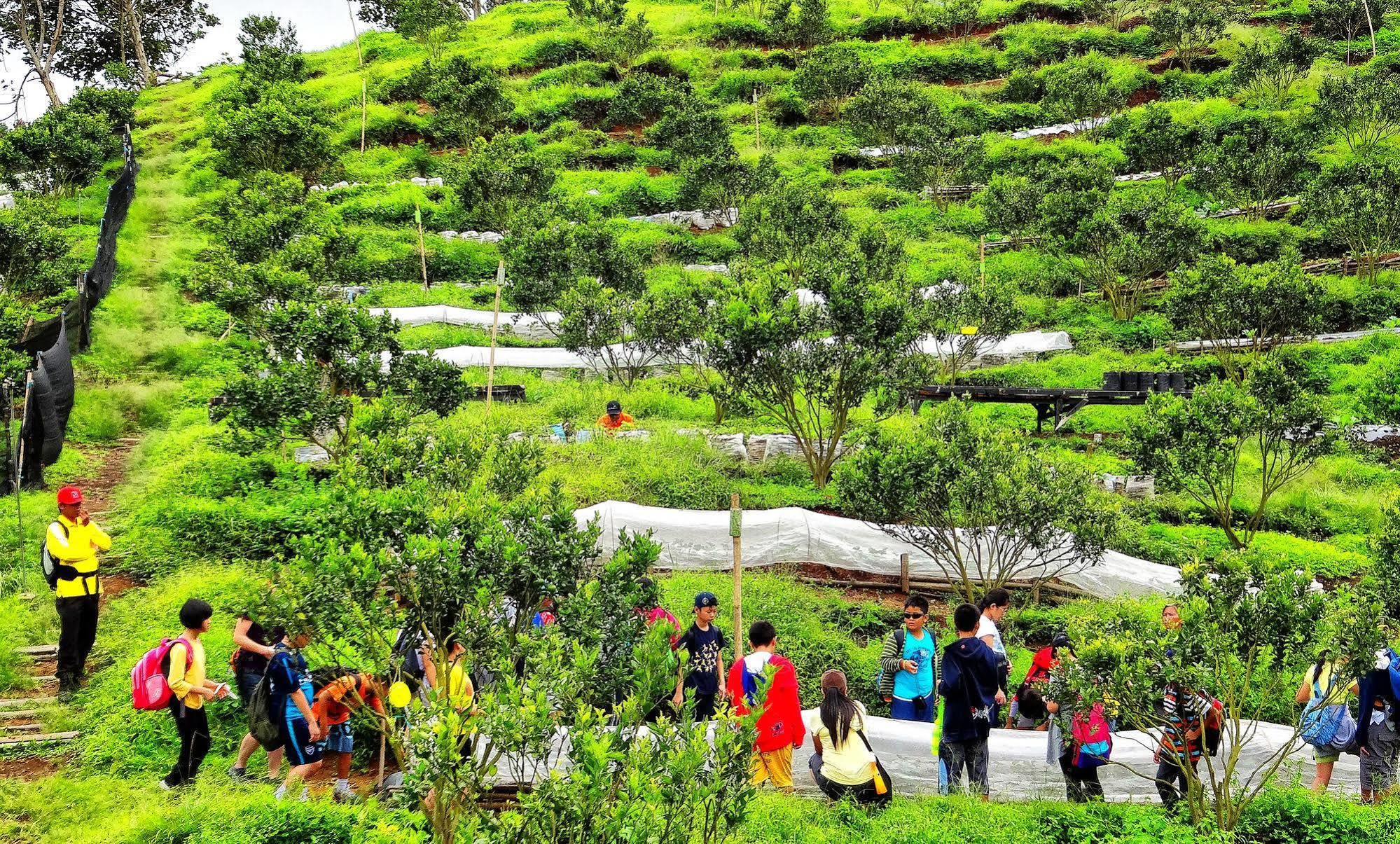 Taman Simalem Resort Tongging Extérieur photo